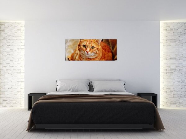 Slika mačke koja leži (120x50 cm)