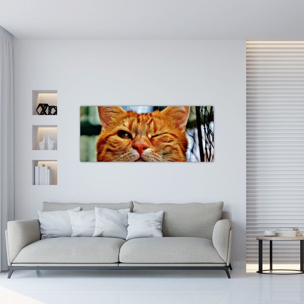 Slika mačke koja namiguje (120x50 cm)