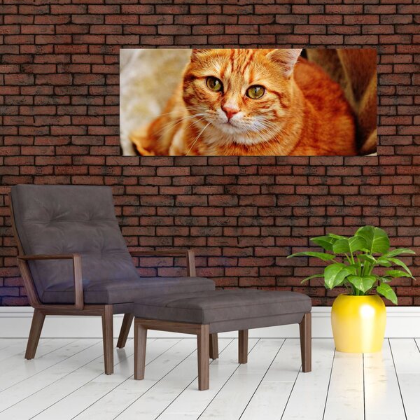 Slika mačke koja leži (120x50 cm)