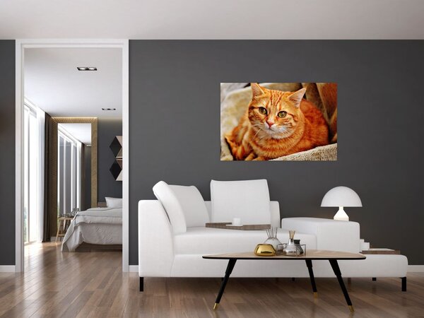 Slika mačke koja leži (90x60 cm)