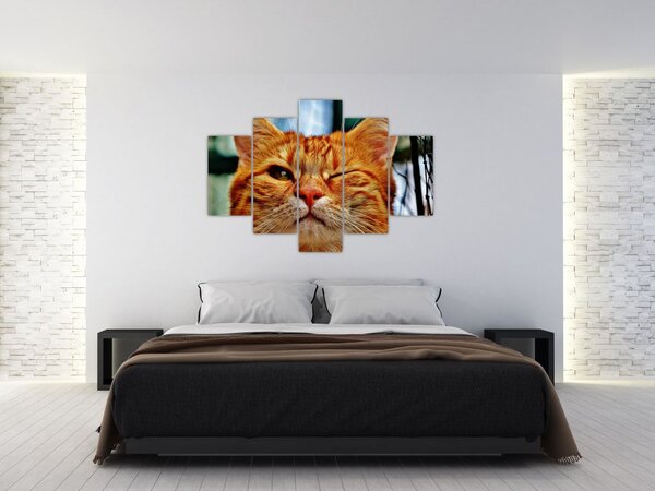 Slika mačke koja namiguje (150x105 cm)