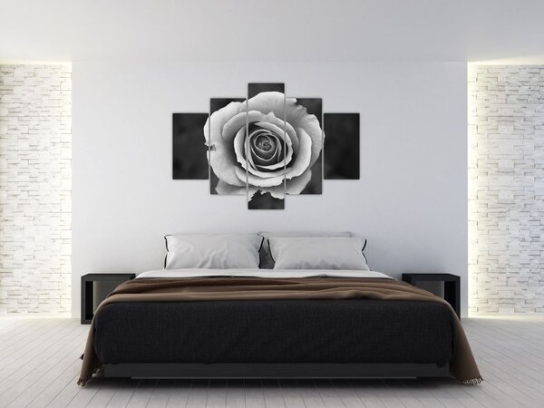 Slika ruže (150x105 cm)