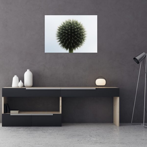 Slika cvjetne kugle (70x50 cm)