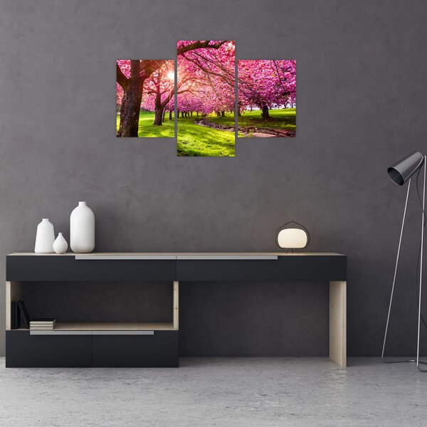 Slika procvjetalih trešanja, Hurd Park, Dover, New Jersey (90x60 cm)