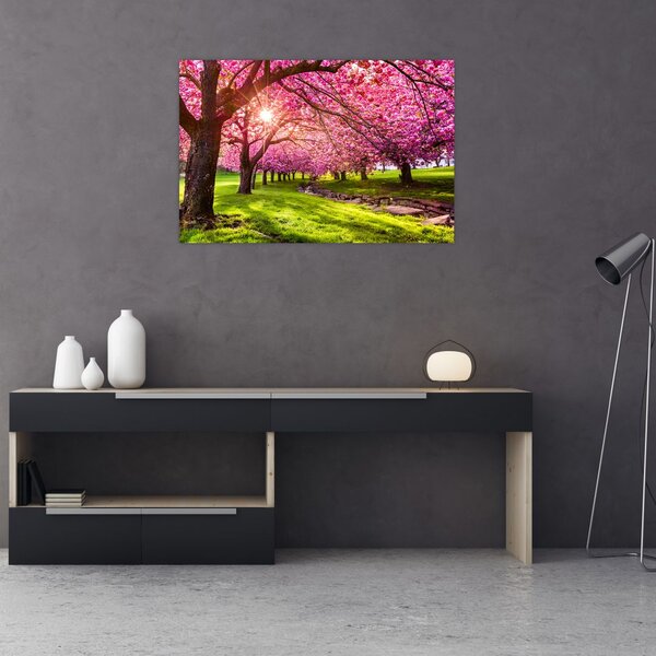 Slika procvjetalih trešanja, Hurd Park, Dover, New Jersey (90x60 cm)