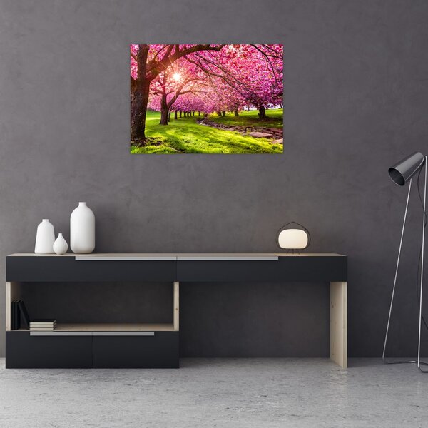 Slika procvjetalih trešanja, Hurd Park, Dover, New Jersey (70x50 cm)