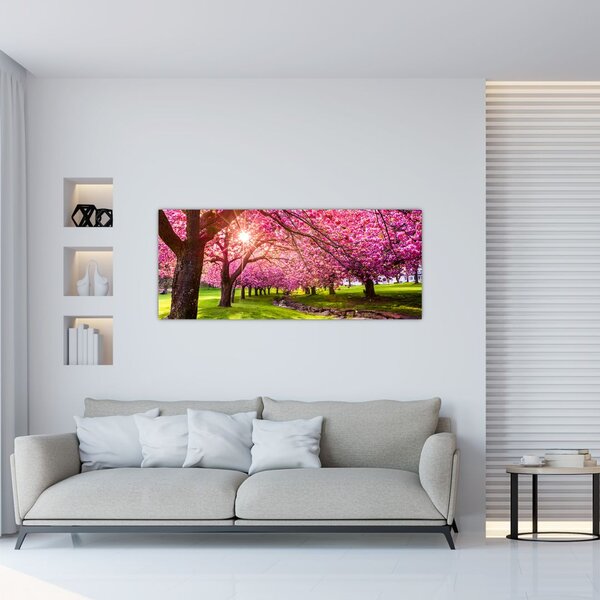 Slika procvjetalih trešanja, Hurd Park, Dover, New Jersey (120x50 cm)