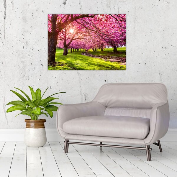 Slika procvjetalih trešanja, Hurd Park, Dover, New Jersey (70x50 cm)
