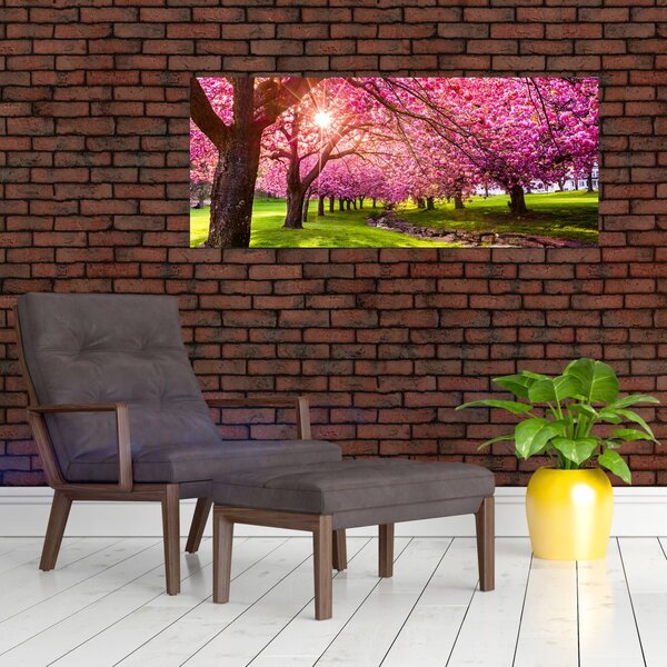 Slika procvjetalih trešanja, Hurd Park, Dover, New Jersey (120x50 cm)