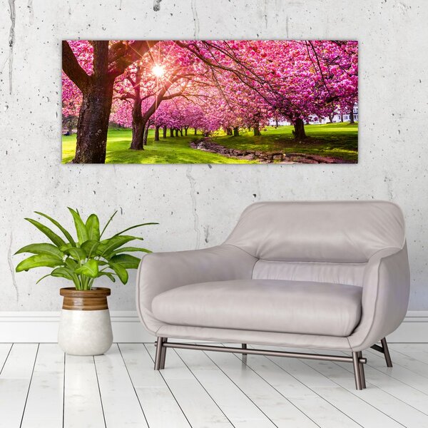 Slika procvjetalih trešanja, Hurd Park, Dover, New Jersey (120x50 cm)