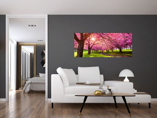 Slika procvjetalih trešanja, Hurd Park, Dover, New Jersey (120x50 cm)
