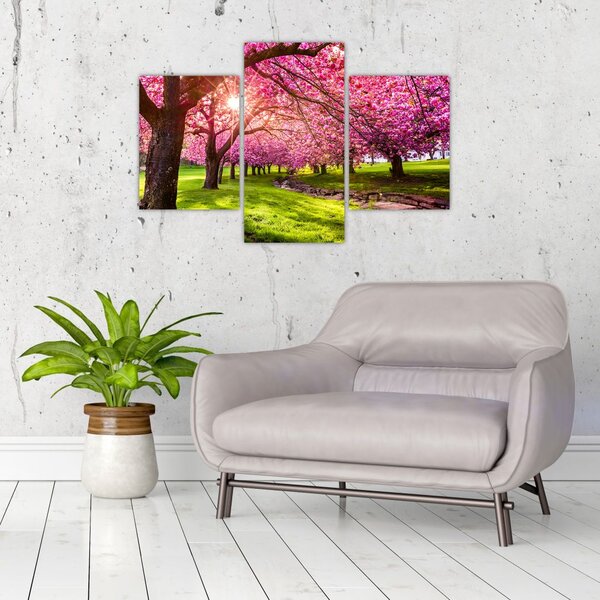 Slika procvjetalih trešanja, Hurd Park, Dover, New Jersey (90x60 cm)