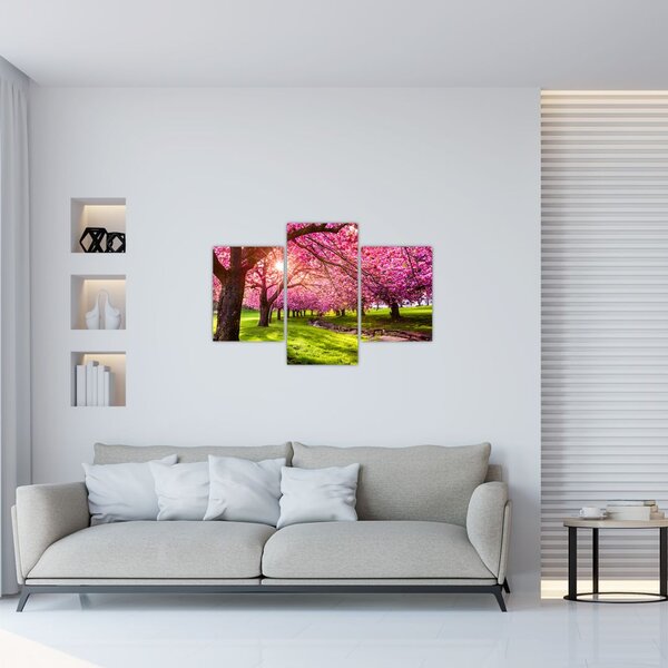 Slika procvjetalih trešanja, Hurd Park, Dover, New Jersey (90x60 cm)