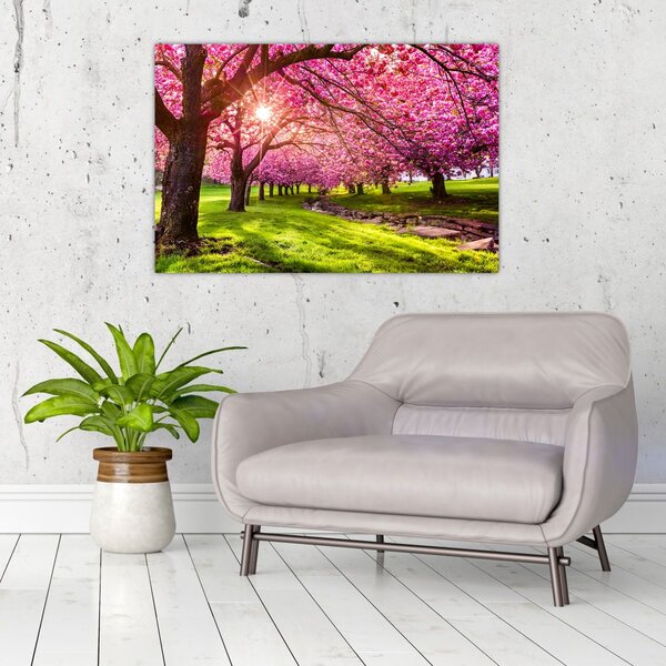 Slika procvjetalih trešanja, Hurd Park, Dover, New Jersey (90x60 cm)