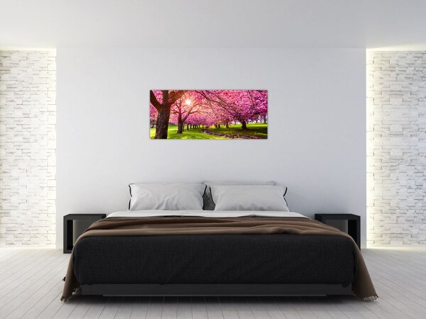 Slika procvjetalih trešanja, Hurd Park, Dover, New Jersey (120x50 cm)