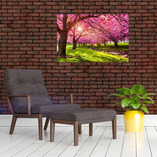 Slika procvjetalih trešanja, Hurd Park, Dover, New Jersey (90x60 cm)
