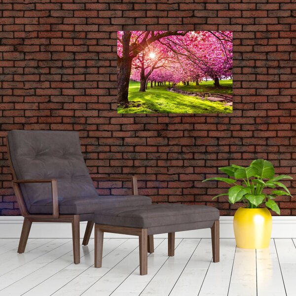 Slika procvjetalih trešanja, Hurd Park, Dover, New Jersey (70x50 cm)