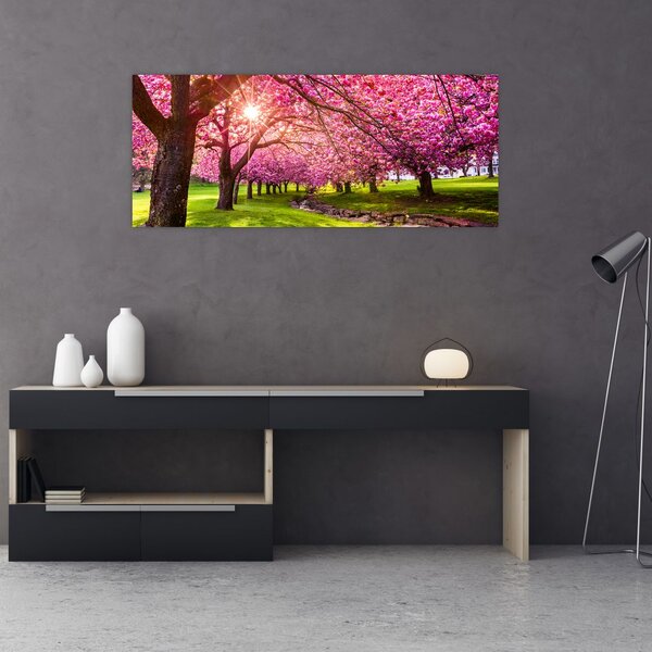 Slika procvjetalih trešanja, Hurd Park, Dover, New Jersey (120x50 cm)