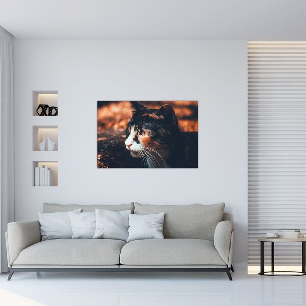 Slika - Pogled mačke (90x60 cm)