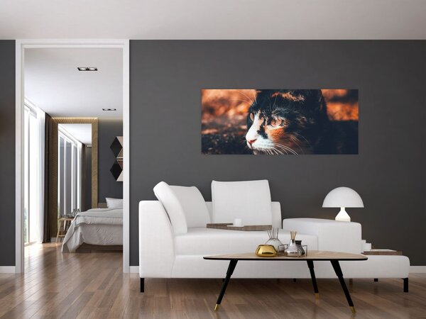 Slika - Pogled mačke (120x50 cm)