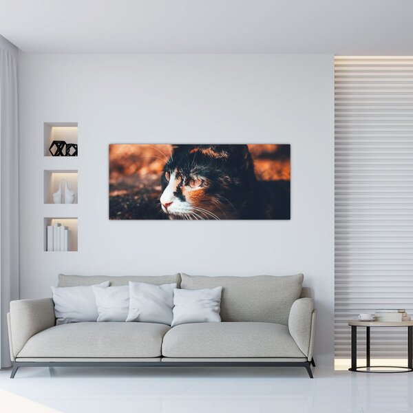 Slika - Pogled mačke (120x50 cm)