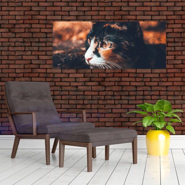 Slika - Pogled mačke (120x50 cm)