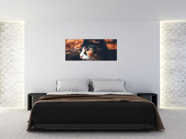 Slika - Pogled mačke (120x50 cm)