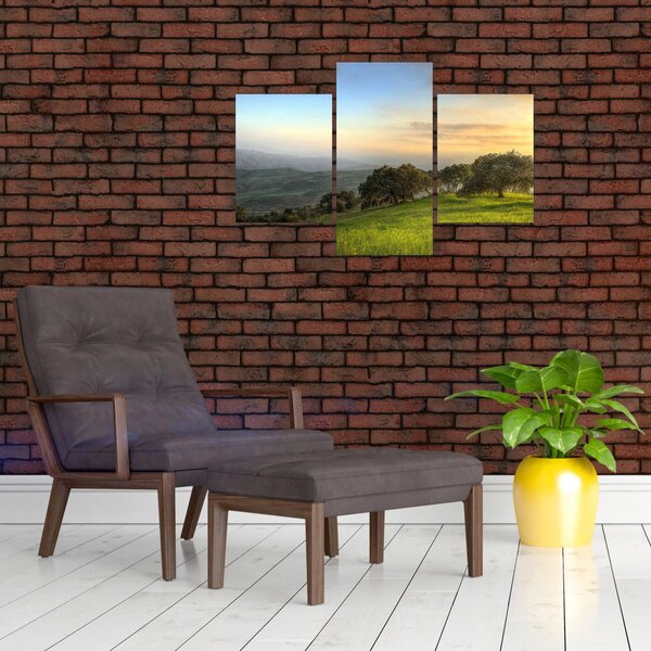 Slika - Pogled s brda (90x60 cm)