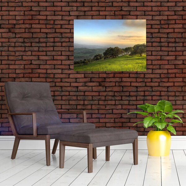 Slika - Pogled s brda (70x50 cm)