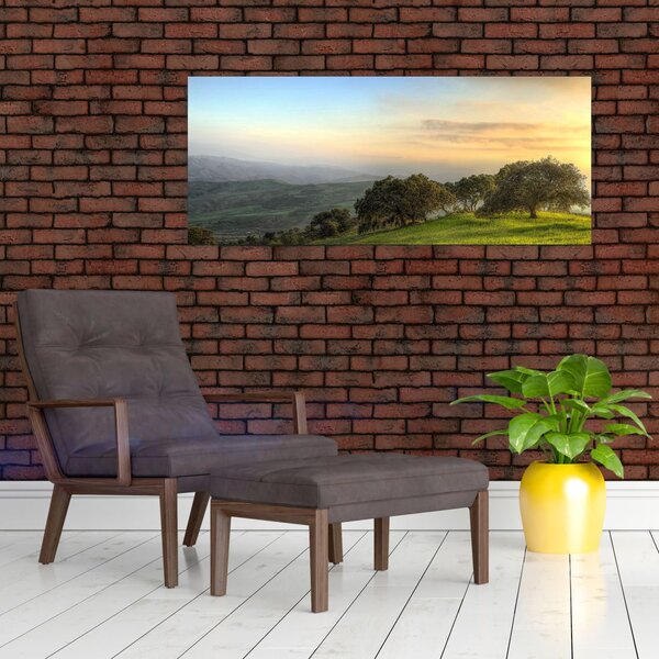 Slika - Pogled s brda (120x50 cm)