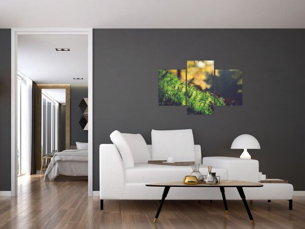 Slika mahovine sa gljivom (90x60 cm)