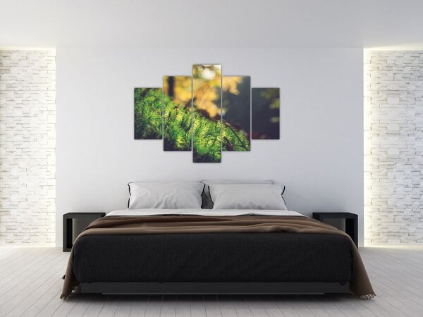 Slika mahovine sa gljivom (150x105 cm)