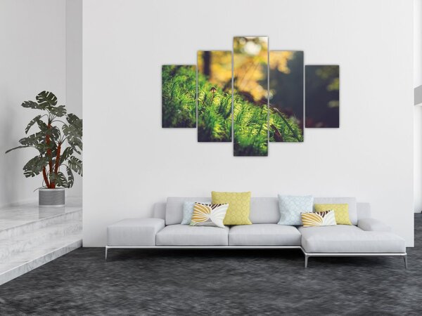 Slika mahovine sa gljivom (150x105 cm)