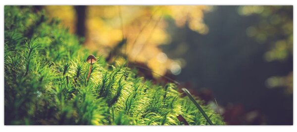 Slika mahovine sa gljivom (120x50 cm)