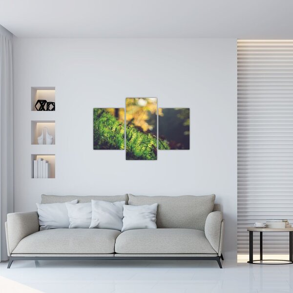 Slika mahovine sa gljivom (90x60 cm)