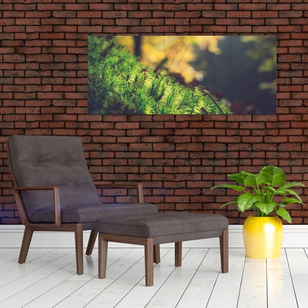 Slika mahovine sa gljivom (120x50 cm)