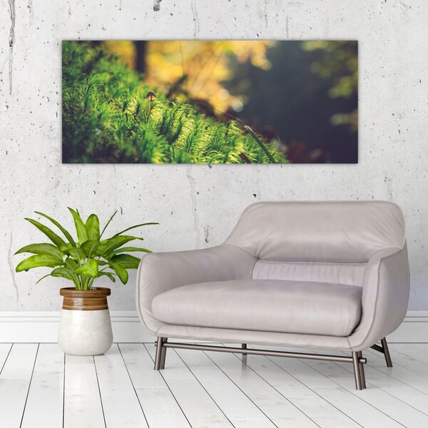 Slika mahovine sa gljivom (120x50 cm)