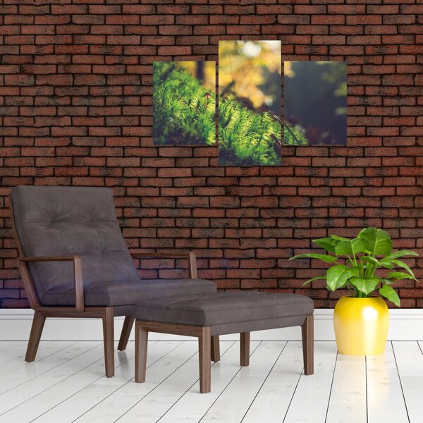 Slika mahovine sa gljivom (90x60 cm)