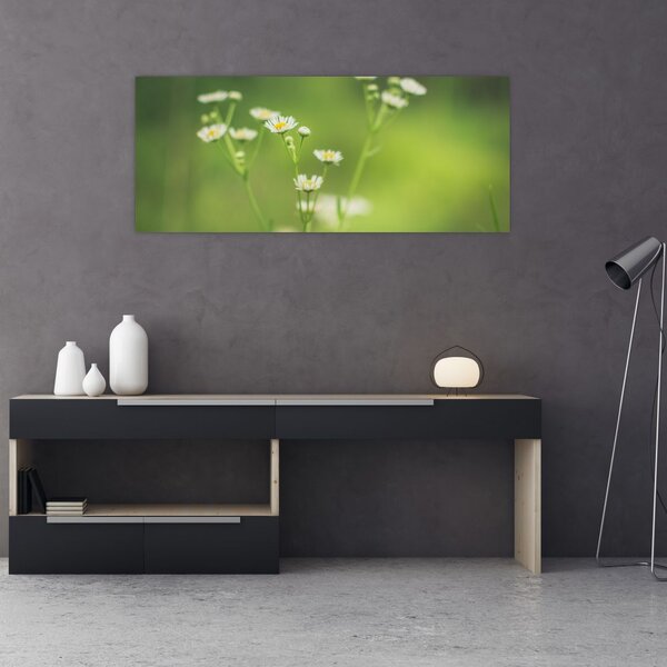 Slika Tratinčice (120x50 cm)