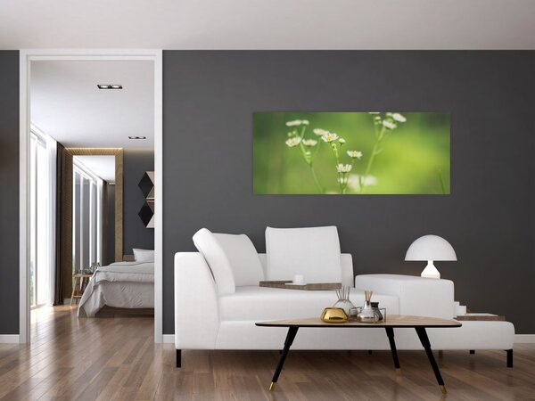 Slika Tratinčice (120x50 cm)