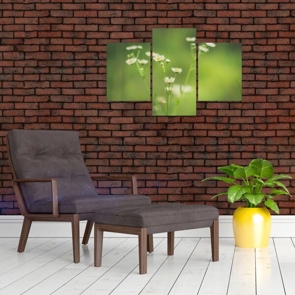Slika Tratinčice (90x60 cm)