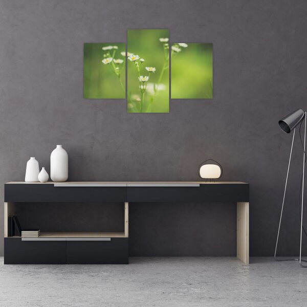 Slika Tratinčice (90x60 cm)
