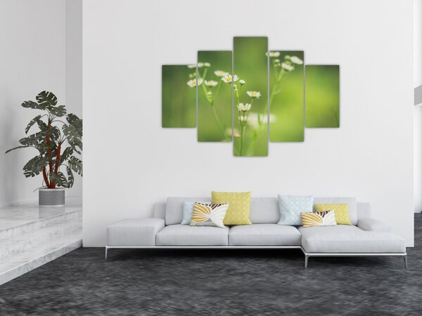 Slika Tratinčice (150x105 cm)