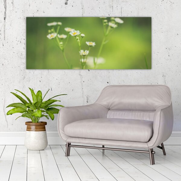 Slika Tratinčice (120x50 cm)
