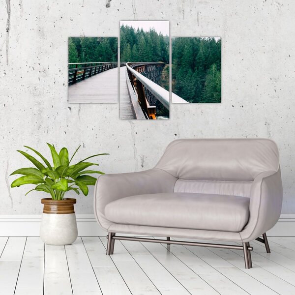 Slika - Most do vrhova drveća (90x60 cm)