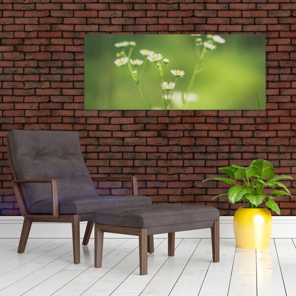 Slika Tratinčice (120x50 cm)
