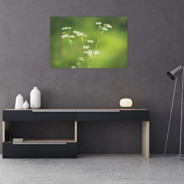 Slika Tratinčice (90x60 cm)