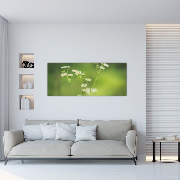Slika Tratinčice (120x50 cm)
