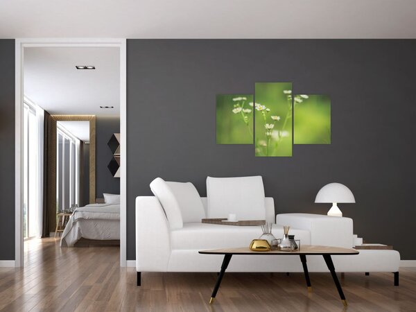 Slika Tratinčice (90x60 cm)