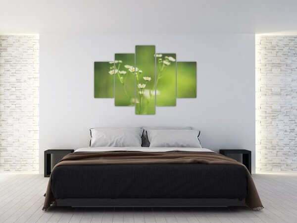 Slika Tratinčice (150x105 cm)
